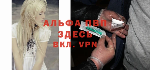 шишки Магадан