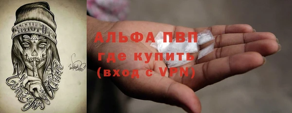 шишки Магадан